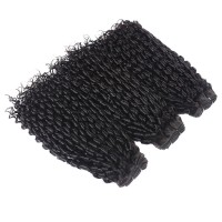 Double Drawn Virgin Hair Pixie Curl Human Hair Weave Free Shipping Cheap Funmi Raw Virgin Hair Extensions